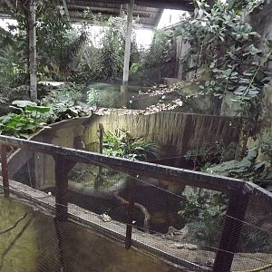 Tropical Realm at Chester Zoo 31/03/12