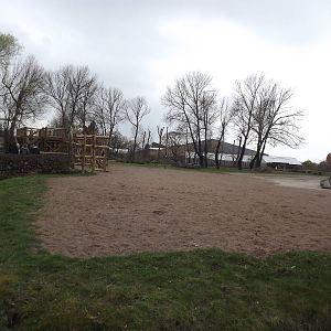 Rothschild Giraffe exhibit at Chester Zoo 31/03/12