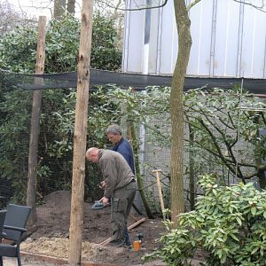 Aviary under construction