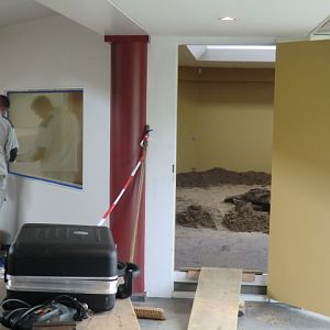 Indoor tortoise enclosure under construction