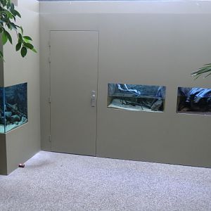 New aquariums in the africa house