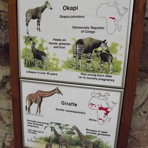 Signage example at Chester Zoo 31/03/12