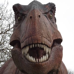 Tyrannosaurus Rex at Chester Zoo 31/03/12