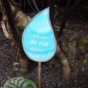 Do Not Water? - 2012