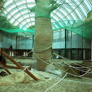 Interior of Great Ape House