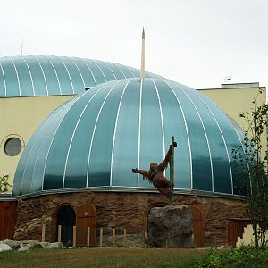 Exterior of Great Ape House