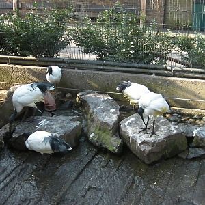 Inside the Snowdon Aviay - 24.03.2012