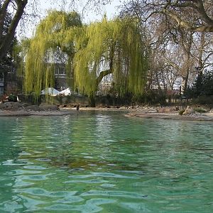 Penguin Beach - 24.03.2012