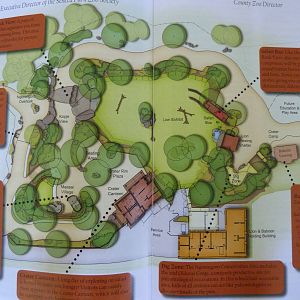 A Step Into Africa Layout