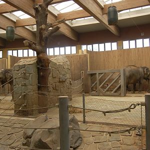 Elephant House at Ostrava Zoo