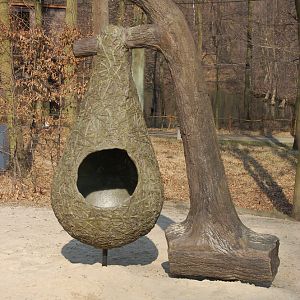 Nest of Penduline Tit for children at Ostrava Zoo