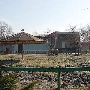 Rhino and house at Katowice Zoo