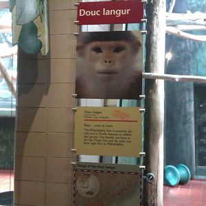 Red Shanked Douc Langer Sign