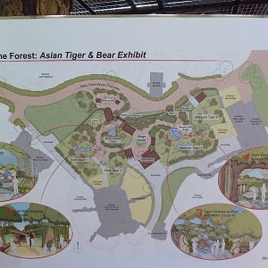 Asian Tropical Forest Plans (#1 Of 4 Photos)