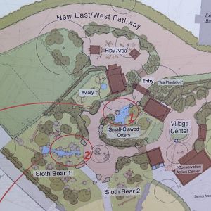 Asian Tropical Forest Plans (#2 Of 4 Photos)