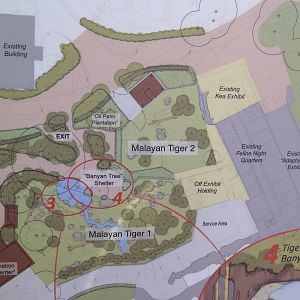 Asian Tropical Forest Plans (#3 Of 4 Photos)