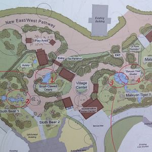 Asian Tropical Forest Plans (#4 Of 4 Photos)