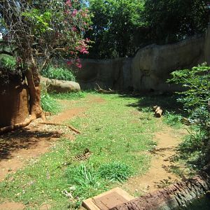 Part of the Chimp enclosure