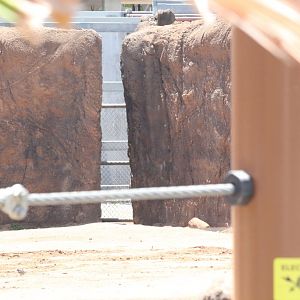 Keeper access to Elephant exhibit