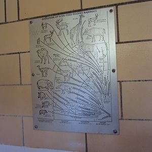 Graphic in the male toilets