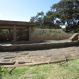 Old elephant exhibit