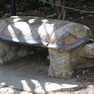 Tortoise Seat