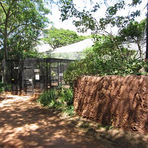 Walkthrough Aviary exterior