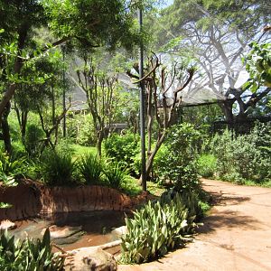 Walkthrough Aviary interior