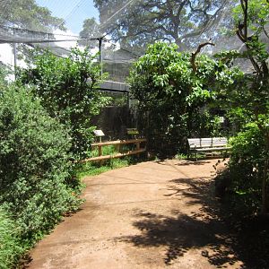Walkthrough Aviary interior