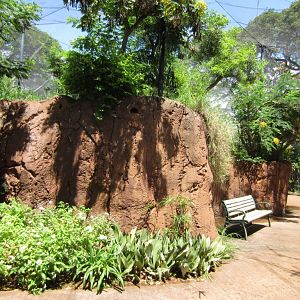 Walkthrough Aviary interior