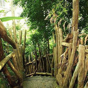 Interior of Rainforest House
