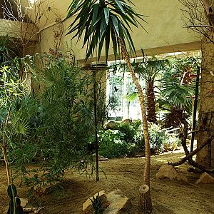 Walkthrough - African savannah