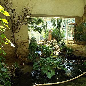 Walkthrough - African savannah