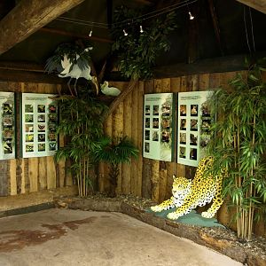 Papiliorama - Jungle Trek (Exhibtion)