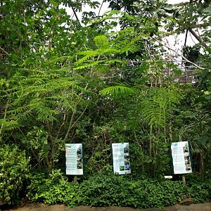 Papiliorama - Jungle Trek