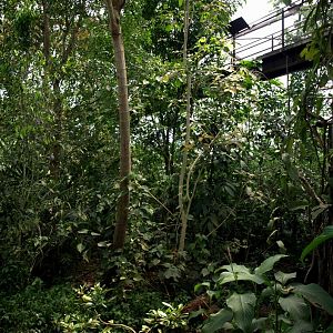 Papiliorama - Jungle Trek