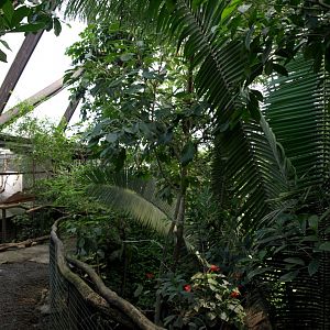 Papiliorama - Jungle Trek