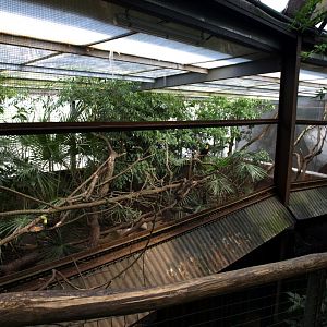 Papiliorama - Jungle Trek (Toucan exhibit)