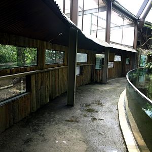 Papiliorama - Jungle Trek (Pathway/exhibits)