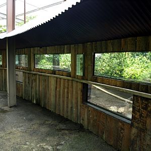 Papiliorama - Jungle Trek (Peccary exhibit)