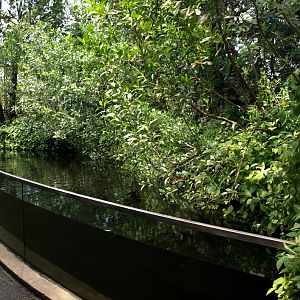 Papiliorama - Jungle Trek (Jungle pool)