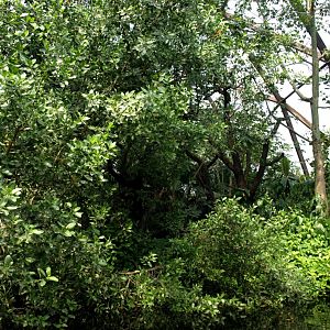 Papiliorama - Jungle Trek