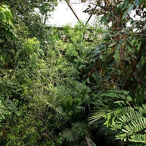 Papiliorama - Jungle Trek