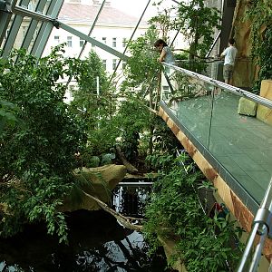 Interior viewing area