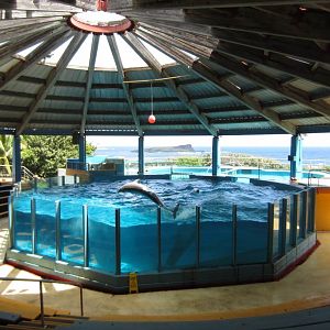 Hawaiian Ocean Theatre