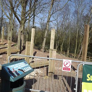 Iberian Wolf development at Blackpool Zoo 01/04/12