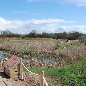 New Wetlands Walk