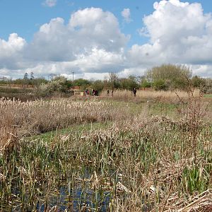 New Wetlands Walk