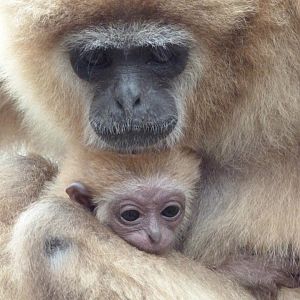 Various recent photos at PWP