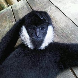 Various recent photos at PWP